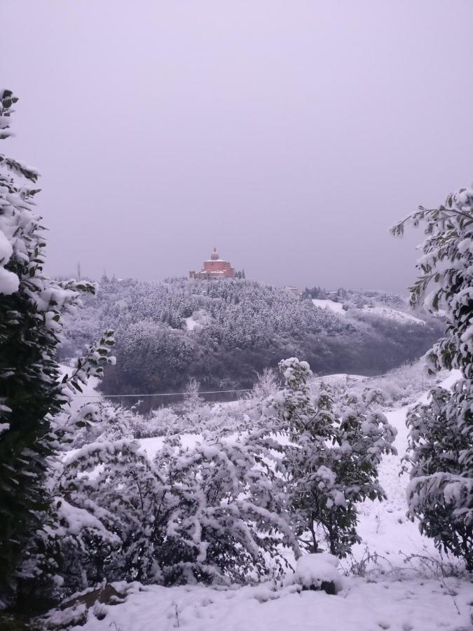 B&B Poggio San Luca ボローニャ エクステリア 写真